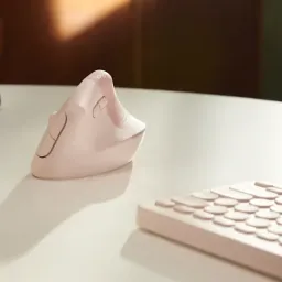 1774479715545-3542-2